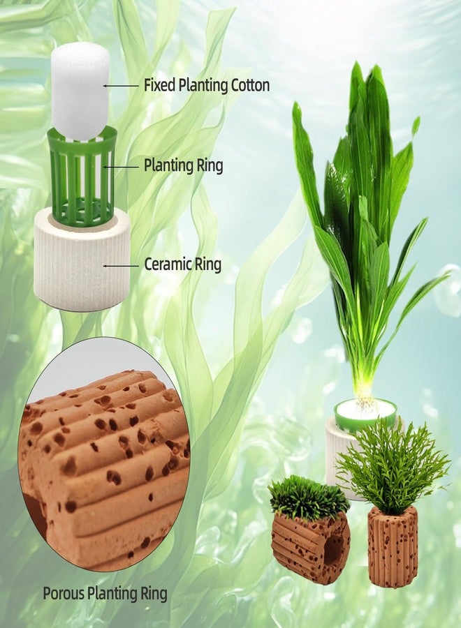 HEHIPLE 16 Pack Aquarium Plant Weights, Aquatic Plants Fixed Ring Set, Anti-Floating Ceramic Aquarium Plant Rings, Aquarium Landscape Decoration Fish Tank Accessories 1.8 x 1.3 Inch - Image 4